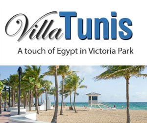 villa tunis WordPress Web Design