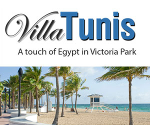 villa tunis WordPress Web Design